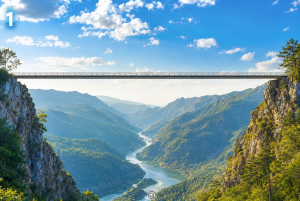 Bridge-1 image
